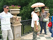 Thumbnail of PIC_Kenneth_Lo_136.JPG