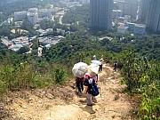 Thumbnail of PA260061.JPG
