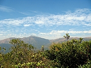 P1040075.JPG (183289 bytes)