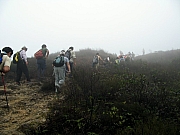 Thumbnail of P2220056.JPG