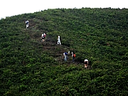 Thumbnail of P3290044.JPG