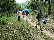Thumbnail of P5170074.JPG