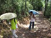 Thumbnail of pic_CH_Chu_117.JPG