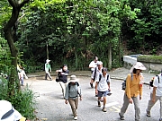 Thumbnail of P8090001.JPG