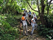 Thumbnail of PA040055.JPG