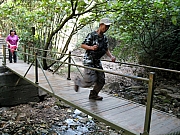 Thumbnail of PA250075.JPG