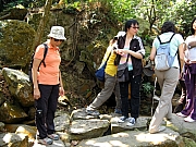 Thumbnail of PA250145.JPG