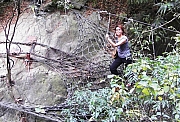 Thumbnail of PIC_SC_Lo_020.JPG