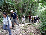 Thumbnail of PB150013.JPG