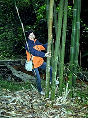 Thumbnail of PC270023.JPG