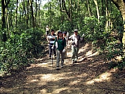 Thumbnail of P1310055.JPG