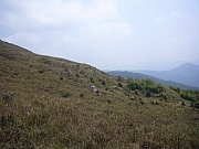 Thumbnail of pic_Wai_103.JPG