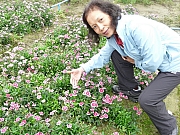 Thumbnail of pic_Wai_421.JPG