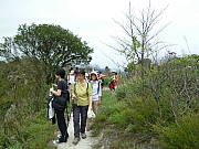 Thumbnail of PIC_Wai_018.JPG