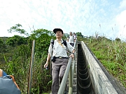 Thumbnail of pic_Wai_027.JPG