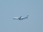Thumbnail of pic_Wai_124.JPG