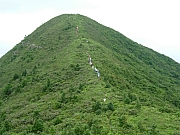 Thumbnail of PIC_Wai_064.JPG