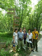 Thumbnail of pic_Wai_058.JPG