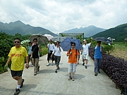 Thumbnail of pic_Wai_226.JPG