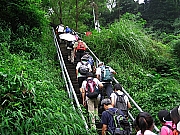 Thumbnail of pic_CC_Li_12.JPG