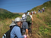 Thumbnail of pic_CC_Li_23.JPG