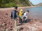 Thumbnail of pic_Wai_078.JPG