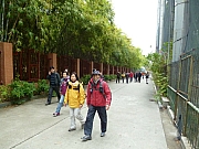 Thumbnail of PIC_Wai_027.JPG