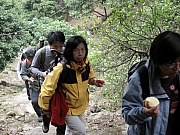 Thumbnail of pic_CC_Li_053.JPG