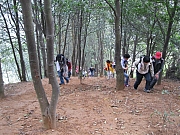 Thumbnail of pic_Yuen_071.JPG