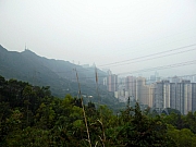 Thumbnail of pic_Wai_61.JPG