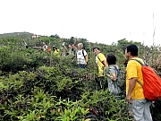 Thumbnail of P5150013.JPG