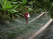 Thumbnail of IMG_0616.JPG