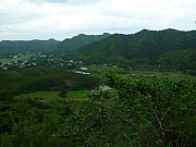 Thumbnail of P1300897.JPG