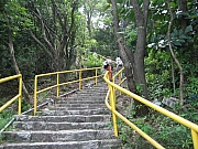 Thumbnail of pic_CC_Li_41.JPG