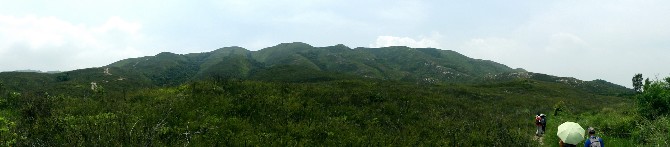 P8280032-1.JPG (483120 bytes)