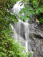 pic_FW_Li_14.JPG (222734 bytes)