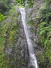 pic_FW_Li_21.JPG (328030 bytes)