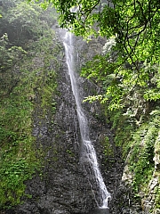 pic_FW_Li_26.JPG (329884 bytes)