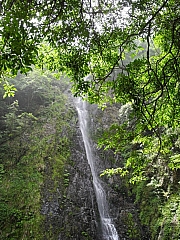 pic_FW_Li_27.JPG (343385 bytes)