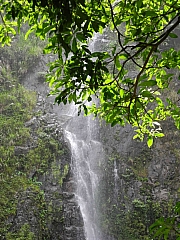 pic_FW_Li_28.JPG (259424 bytes)