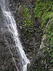 pic_FW_Li_32.JPG (291639 bytes)