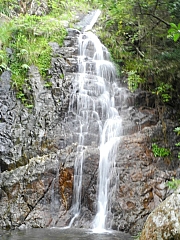 pic_FW_Li_41.JPG (223169 bytes)