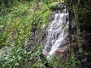 pic_FW_Li_46.JPG (313818 bytes)