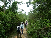 Thumbnail of PIC_Wai_45.JPG