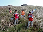 Thumbnail of PB130155.JPG