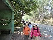 Thumbnail of pic_Wai_018.JPG