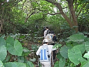 Thumbnail of pic_CC_Li_016.JPG