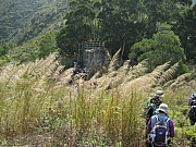 Thumbnail of pic_CC_Li_075.JPG