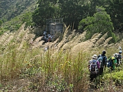 Thumbnail of pic_CC_Li_076.JPG