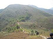 Thumbnail of pic_CC_Li_113.JPG
